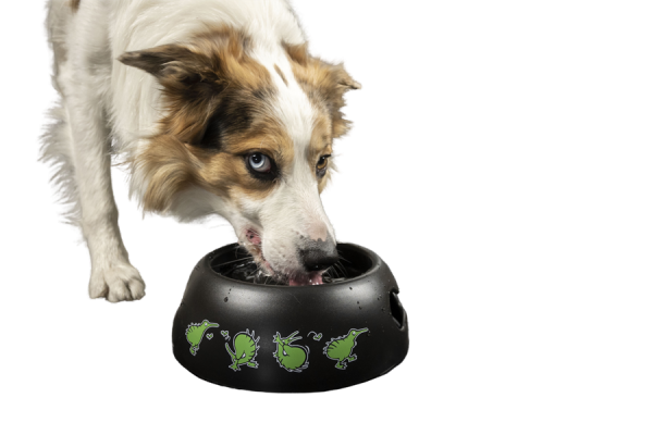 Kiwi Walker BLACK BOWL miska niebieska