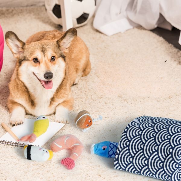 Nocciola Zabawka dla psa 11-w-1 DOSTAWA SUSHI