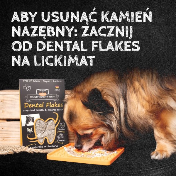 QCHEFS CAT Mminis do higieny jamy ustnej dla KOTA