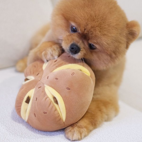 Pups &amp; Bubs CHEESY BREAD Serowa bułeczka zabawka węchowa 