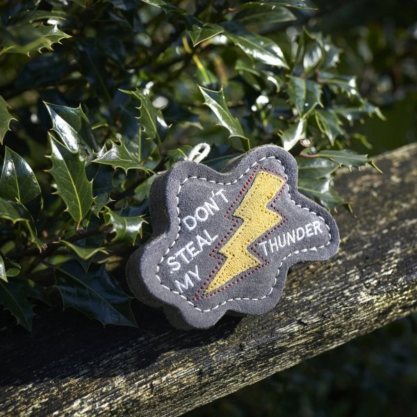 GREEN &amp; WILD'S Don't Steal my Thunder (Błyskawica) zabawka ekologiczna dla psa