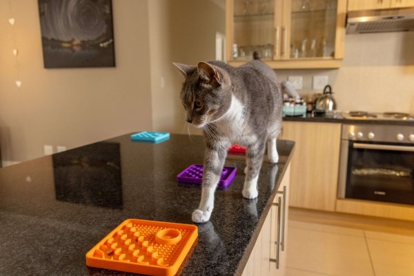 Mata LickiMat® Classic Catster™ pomarańczowa