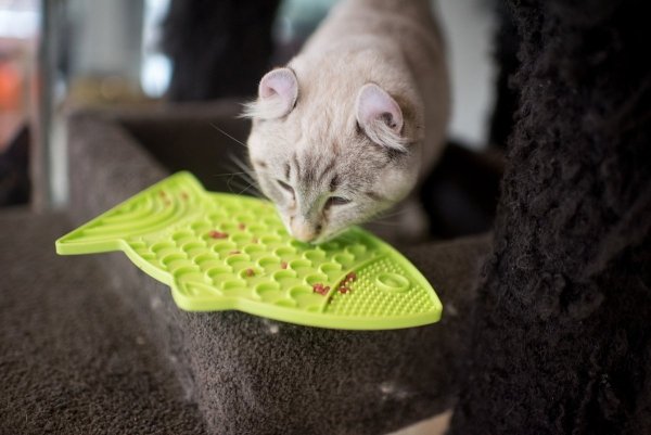 Mata LickiMat® Classic Felix™ pomarańczowa
