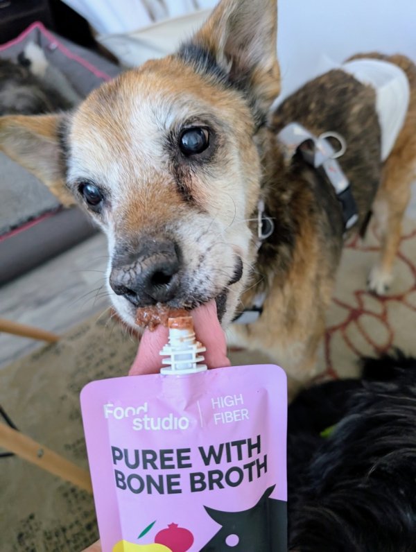 Food Studio Chefs PUREE dla psów z bulionem kostnym z KURCZAKA z marchewką, jabłkiem, dynią i kurkumą 150ml