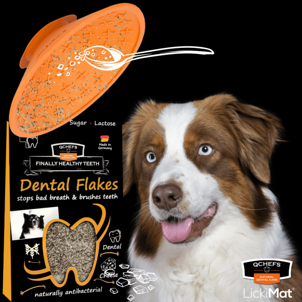 QCHEFS Dental Flakes + LickiMat® Splash™