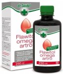 Flawitol 0381 Omega Artro na kondycję stawów 250ml