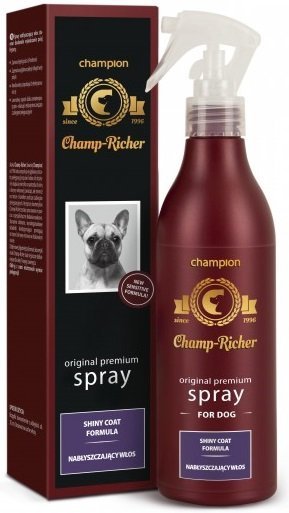 Champ-Richer 0847 Spray Nabłyszczajacy włos 250ml