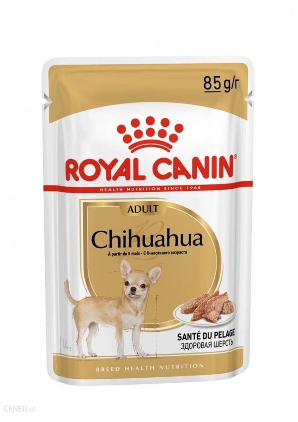 Royal 267130 Chihuahua saszetka 85g