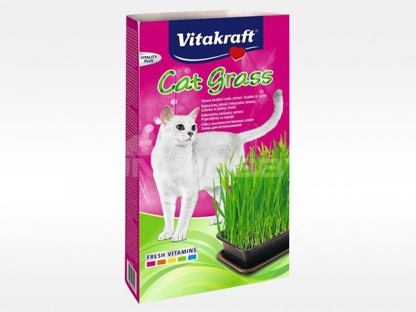 Vitakraft 5470 Cat Grass zestaw 120g