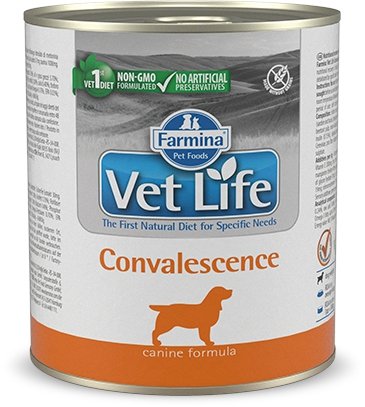 Vet Life Dog 2789 Natural Diet 300g Convalescence