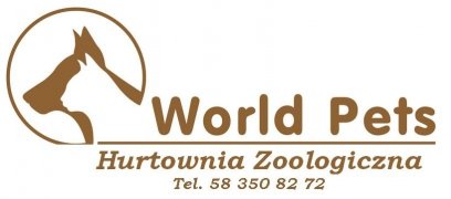 Strona główna