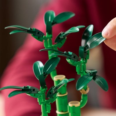 Zestaw Prezent LEGO ICONS 10344 Roślina Dracena Sandera 325 Klocki + Torba