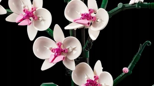 Zestaw Prezent Klocki LEGO ICONS 10311 Botanical Orchidea Storczyk + Torba