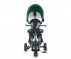 Qplay Rowerek Trójkołowy Elite Platinum Green