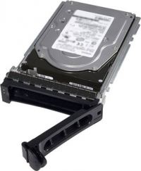 DELL 345-BGVS (480 GB /2.5 ) 