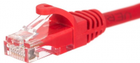 NETRACK RJ45 - RJ45 0.25 m Czerwony 0.25 Patchcord 