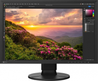 Monitor EIZO ColorEdge CS2400S (24.1 /IPS /61Hz /1920 x 1200 /Czarny) 