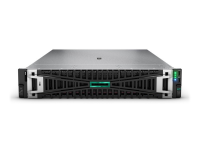 Serwer HEWLETT PACKARD ENTERPRISE Serwer DL380 G11+ 4510 (64GB ) 