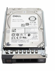 DELL 161-BCFV (2.4 TB /2.5 /10000RPM )
