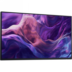 Monitor DELL 210-BMTB (23.8 /IPS /100Hz /1920 x 1080 /Czarno-srebrny )