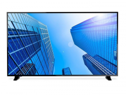 Monitor NEC 60005045 (43 /IPS /60Hz /3840 × 2160 /Czarny )