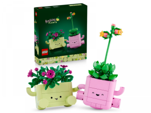 LEGO Botanical Collection  Bujające się roślinki 11506