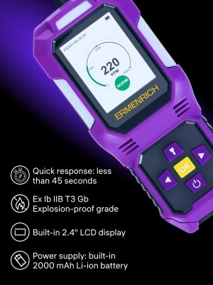 Detektor gazu Ermenrich NG50