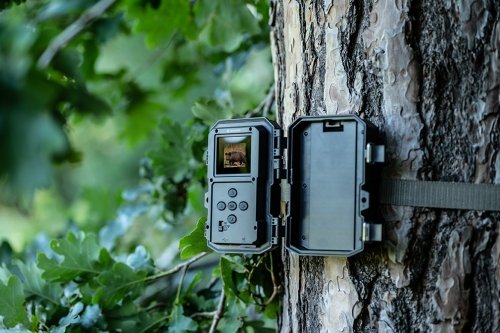 Kamera do obserwacji dzikich zwierząt Bresser 60° 5–20 MP