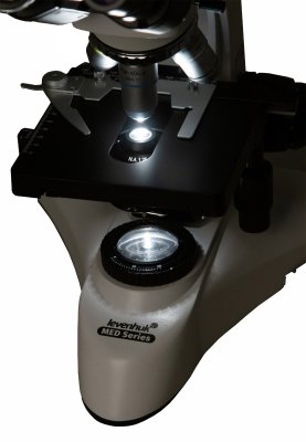 Trójokularowy mikroskop cyfrowy Levenhuk MED D25T LCD