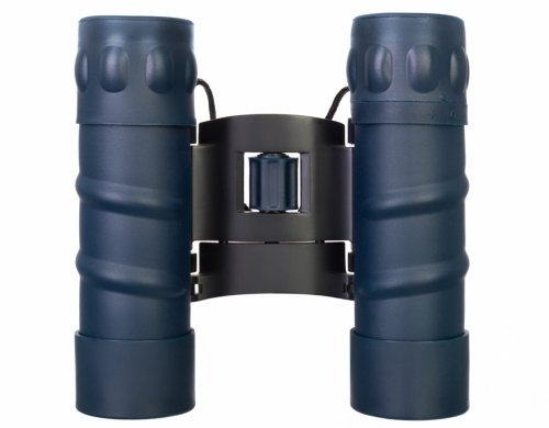Lornetka Levenhuk Discovery Gator 10x25