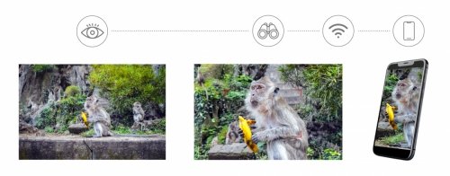 Cyfrowa fotolornetka Levenhuk Kelvin Snap ED 8x42