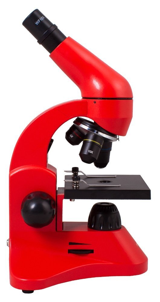 Mikroskop Levenhuk Rainbow 50L OrangePomarańcza