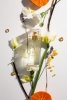 PERFUMY DAMSKIE LIBERTÀ TOMONSKI 50 ml