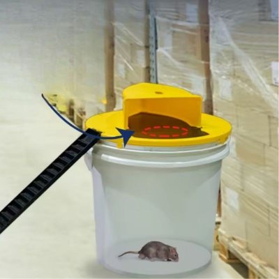 Humanitarna pułapka na myszy i szczury – żywołapka na wiadro XL