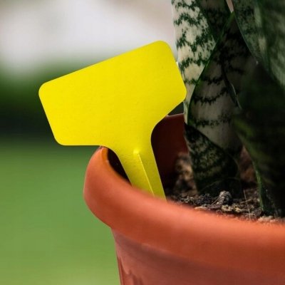Etykiety tabliczki do sadzonek roślin 10x6 cm 100 sztuk