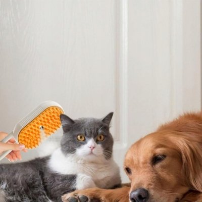 Szczotka parowa dla kota i psa elektryczna do pielęgnacji sierści