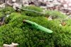 Nóż Morakniv Basic 511 Ltd Ed 2024 Green / Dala Red stal węglowa