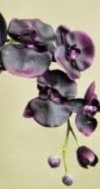 CM - Świeca XL 600 gr. Black Orchid and Lily