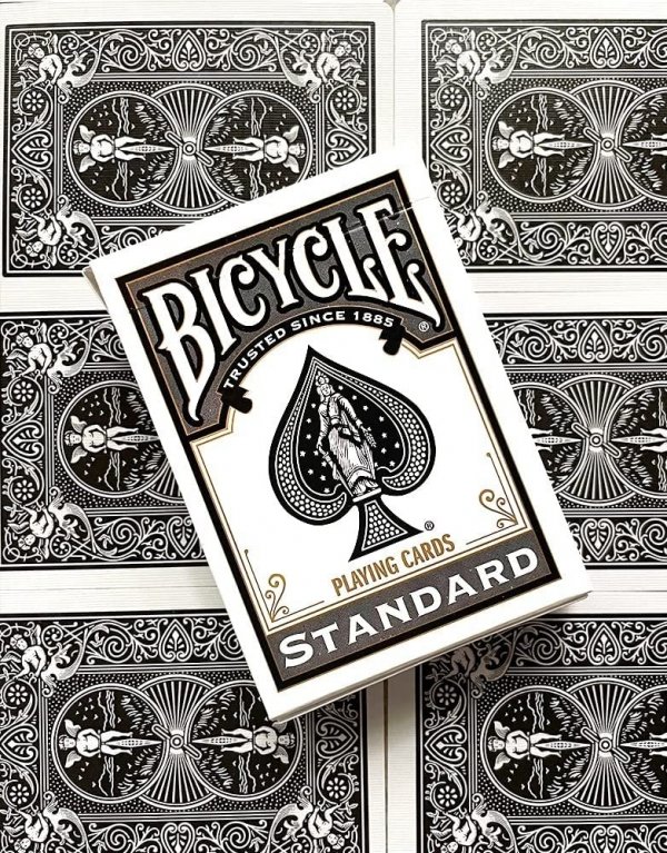 Bicycle Standard Rider Back Grey