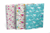 Kołonotatnik A5 60 kartek kratka/tagi Floral Oxford 400094951