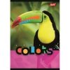Zeszyt A5 32k krata laminowany EXOTIC COLORS