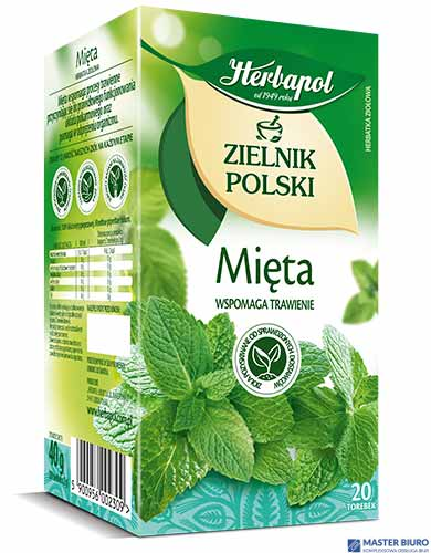 Herbata HERBAPOL ZIELNIK POLSKI mięta (20 torebek)