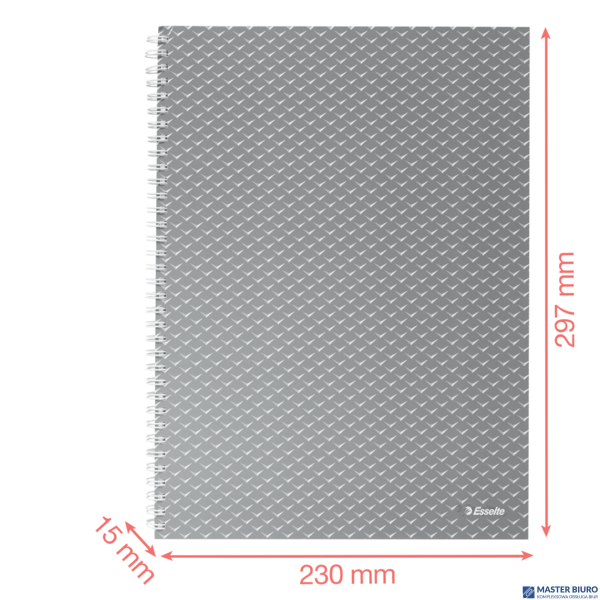 Kołonotatnik Colour Breeze A4, w kratkę, zielony Esselte 628477