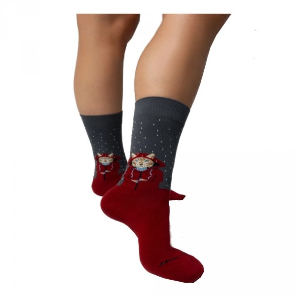 Skarpety Jimmy Lion RAINING CAT Grey