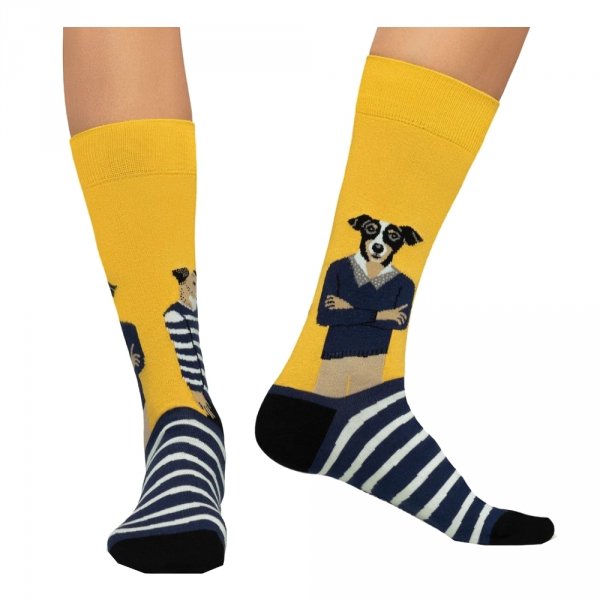 Skarpety Jimmy Lion THE DREAMER Yellow