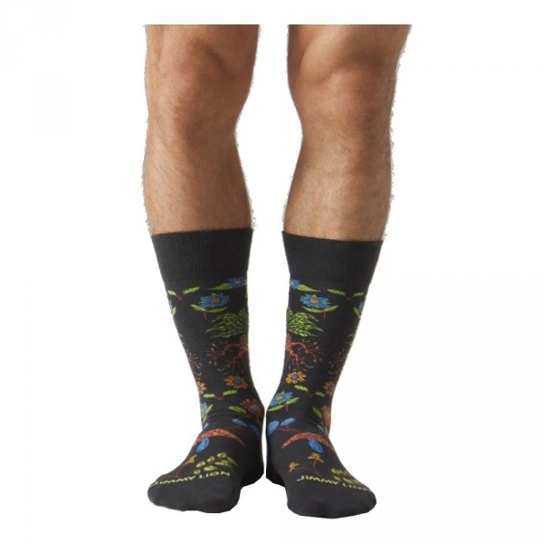 Skarpety Jimmy Lion HARRY POTER HERBOLOGY Dark Grey