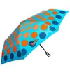 Parasol DP341