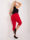 Spodnie-AT-SP-1863.26-czerwony rozmiar - 50