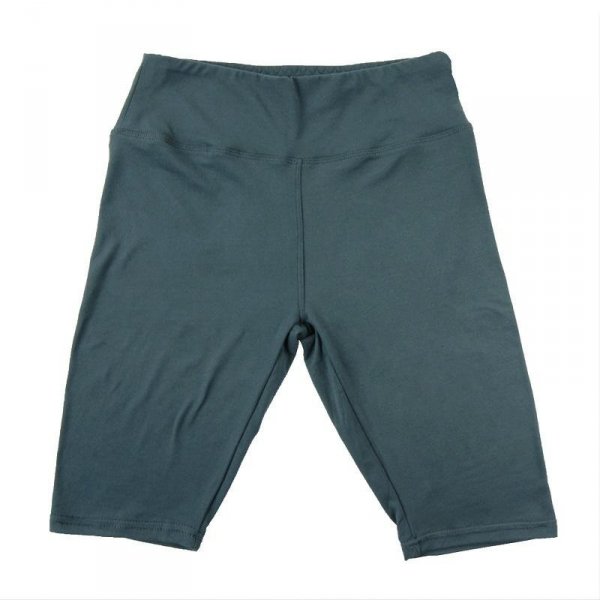 LEGINSY RDL850-018