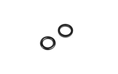 Oring Karcher
